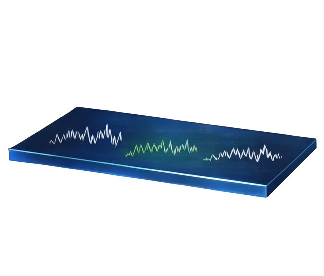 Neural Processing